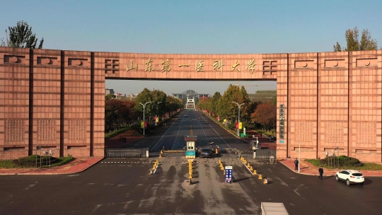 山東醫科大學是985還是211